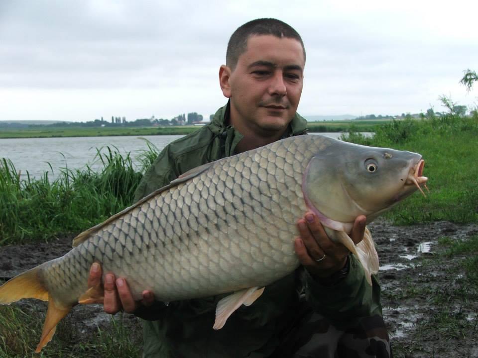 Lates iunie 2013 - 1010016593196734080865995493809n.jpg